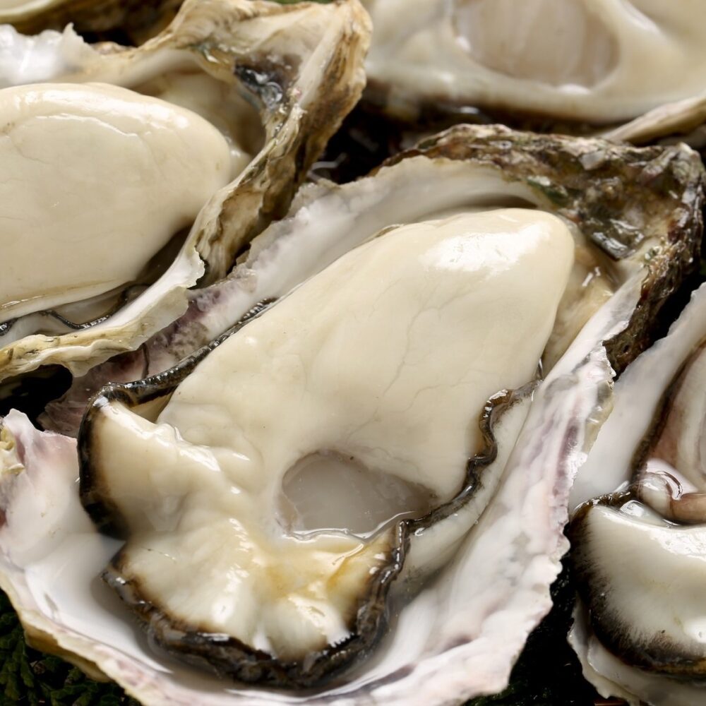 Fresh Oysters (One Dozen) Peets Plaice